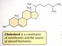 CholesterolStructure.jpg